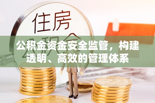 林周公积金资金安全监管，构建透明、高效的管理体系