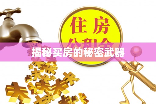 林周揭秘买房的秘密武器
