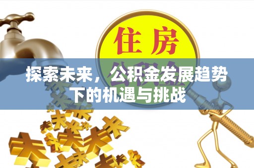 林周探索未来，公积金发展趋势下的机遇与挑战