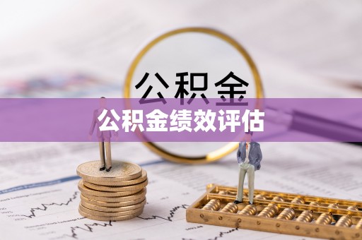 林周公积金绩效评估