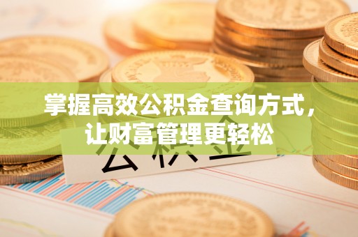 林周掌握高效公积金查询方式，让财富管理更轻松