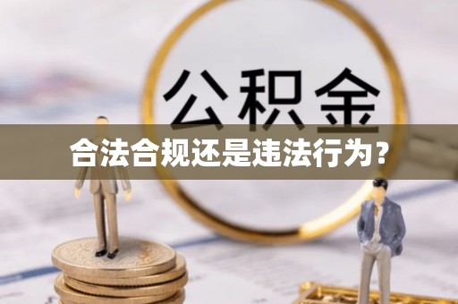 林周合法合规还是违法行为？